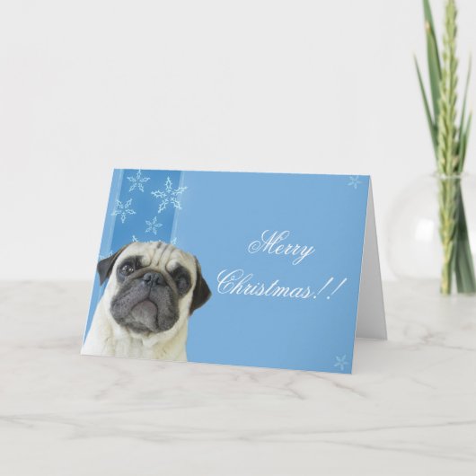 Carte de voeux carlin de Noël (Devant)