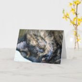 Carte de voeux Cat Nap (Fleur jaune)