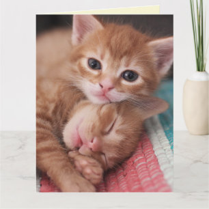 Carte de voeux CAT ROMANTIQUE LOVE SNUGLE