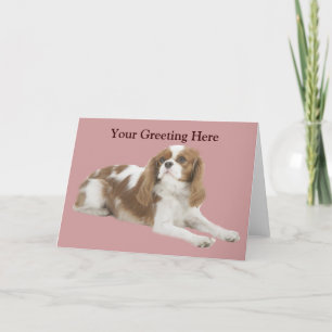 Carte de voeux Cavalier King Charles Spaniel