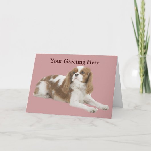 Carte de voeux Cavalier King Charles Spaniel (Devant)