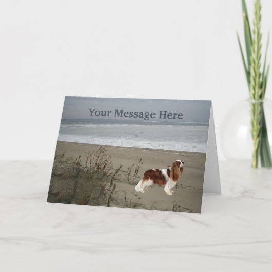 Carte de voeux Cavalier King Charles Spaniel (Devant)