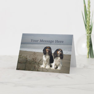 Carte de voeux Cavalier King Charles Spaniel