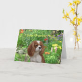 Carte de voeux Cavalier King Charles Spaniel (Fleur jaune)