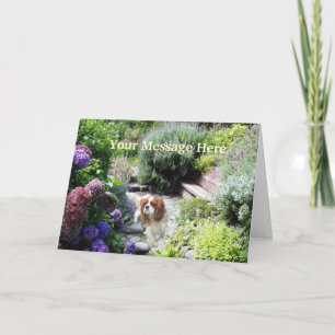 Carte de voeux Cavalier King Charles Spaniel
