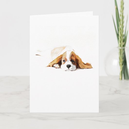 Carte de vœux Cavalier King Charles Spaniel, Cadea (Devant)