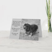 Carte de voeux Cavalier King Charles Sympathy (Devant)