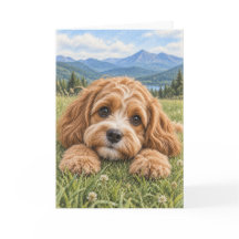 Carte de vœux Cavapoo
