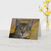 Carte de voeux : Ce n'était pas moi Cat 2 (Fleur jaune)