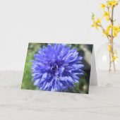 Carte de vœux - Centaurea bleu barbeau des Célibat (Fleur jaune)