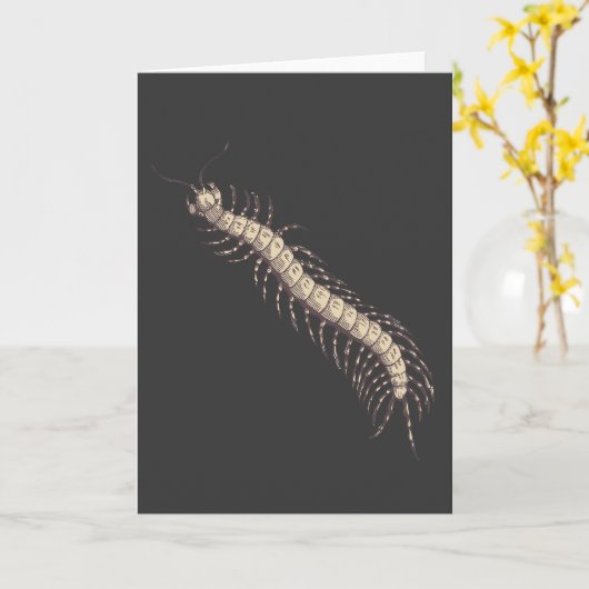 Carte de voeux Centipede (Fleur jaune)
