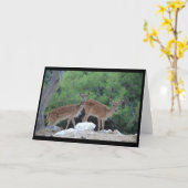 Carte de vœux Cerf-Carte de félicitations Cerfs (Fleur jaune)