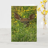 Carte de voeux Cerf parmi Fleur sauvage (Fleur jaune)