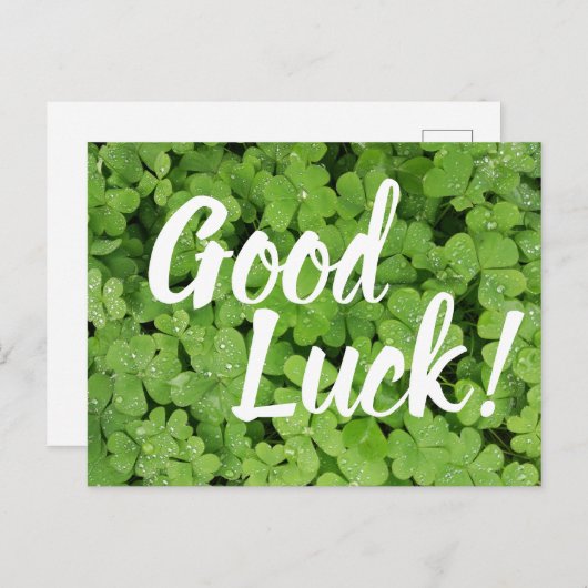 Carte de vœux Chance Trèfle Vert Saint-Patrick (Devant / Derrière)