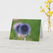 Carte de voeux - Chardon bleu Globe (Fleur jaune)