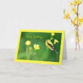 Carte de vœux Chardonneret jaune (Fleur jaune)
