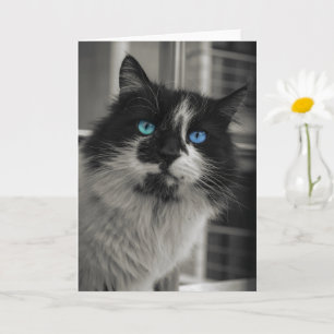 Carte de vœux Chat aux yeux bleus Âme d'Azur