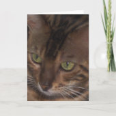 Carte de vœux - Chat Bengal (Devant)