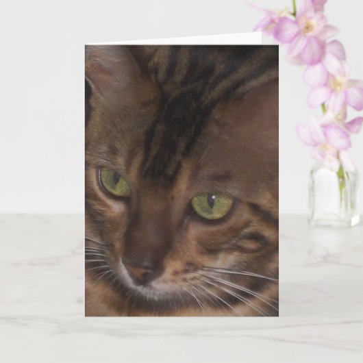 Carte de vœux - Chat Bengal (Orchidée)