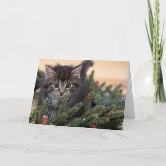 Carte de voeux Chat Chaud Noël (Devant)