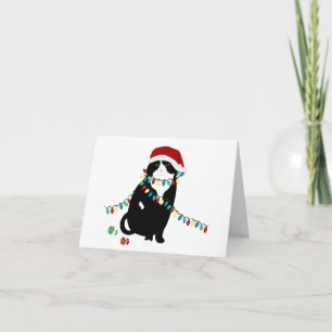 Carte de vœux chat écossais plié Santa