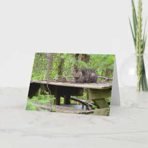 Carte de vœux Chat sauvage dans les bois