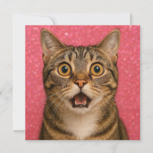 Carte de vœux chat surpris.