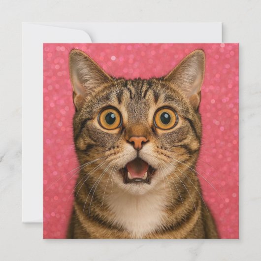 Carte de vœux chat surpris. (Devant)