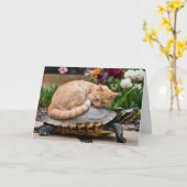 Carte de vœux chaton mignon et tortue (Fleur jaune)