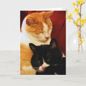 Carte de voeux : Chats de rêve doux (Fleur jaune)