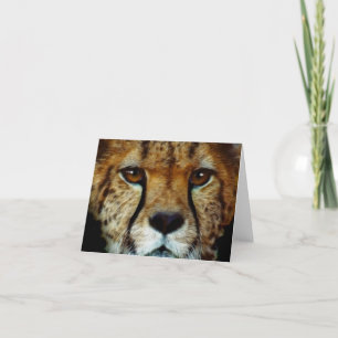 Carte de voeux CHEETAH ESPÈCES EN DANGER