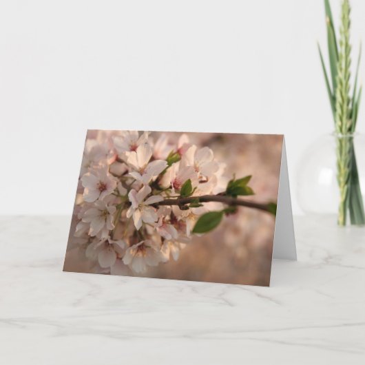 Carte de voeux Cherry Blossom (Devant)
