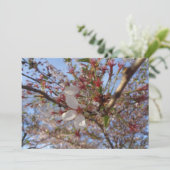 Carte de voeux Cherry Blossom Spring (Debout devant)