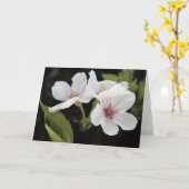 Carte de voeux Cherry Blossoms (Fleur jaune)