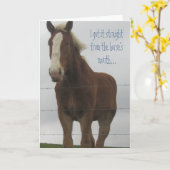 Carte de voeux Cheval (Fleur jaune)