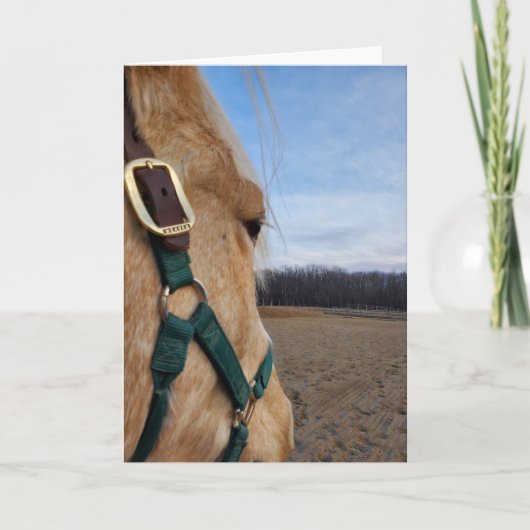 Carte de voeux Cheval (Devant)