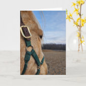 Carte de voeux Cheval (Fleur jaune)