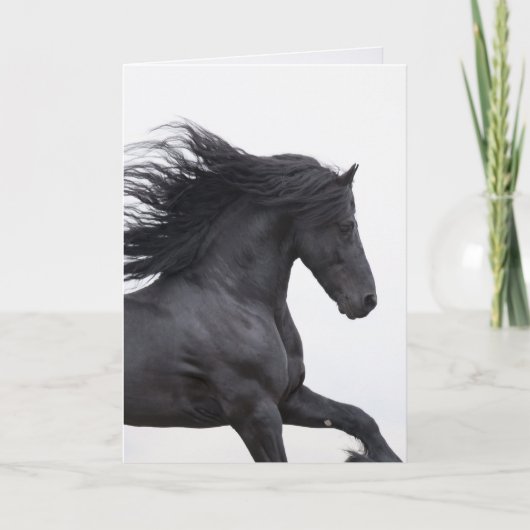 Carte de voeux Cheval Black Friesian Runs (Devant)