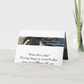 Carte de voeux Cheval Blanc Run Horse (Dos)