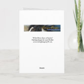 Carte de voeux Cheval - Cheval Blanc court au leve (Dos)