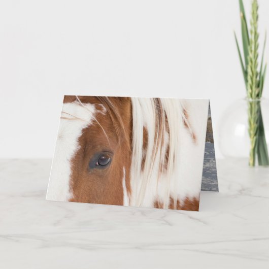 Carte de voeux Cheval de l'oeil du chef (Devant)