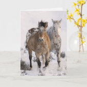 Carte de voeux Cheval Deux Appaloosas (Fleur jaune)