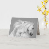 Carte de voeux Cheval - Deux Stallions Blancs (Fleur jaune)