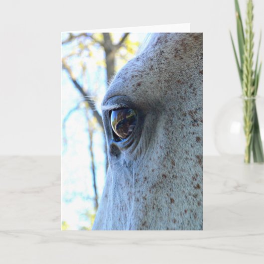 Carte de voeux Cheval Eye (Devant)