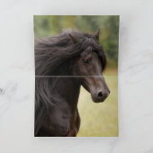 Carte de voeux Cheval - Fairy Tale Stallion Leaps (Intérieur)