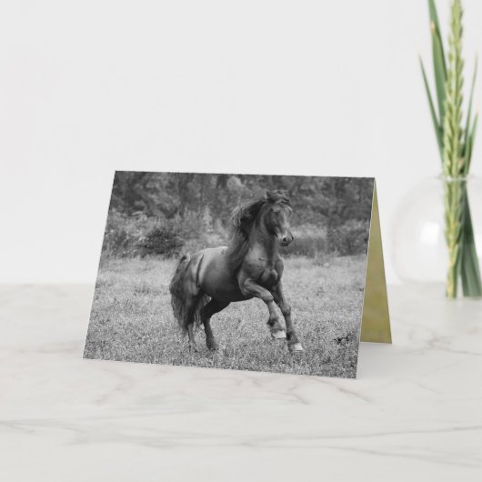 Carte de voeux Cheval - Fairy Tale Stallion Leaps (Devant)