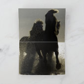 Carte de voeux Cheval foncé III Horse (Intérieur)