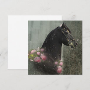 Carte de vœux Cheval Frison Black Beauty
