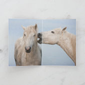 Carte de voeux Cheval - La puissance de deux (Intérieur)