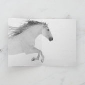 Carte de voeux Cheval - Mischievous Snowy Mare (Intérieur)